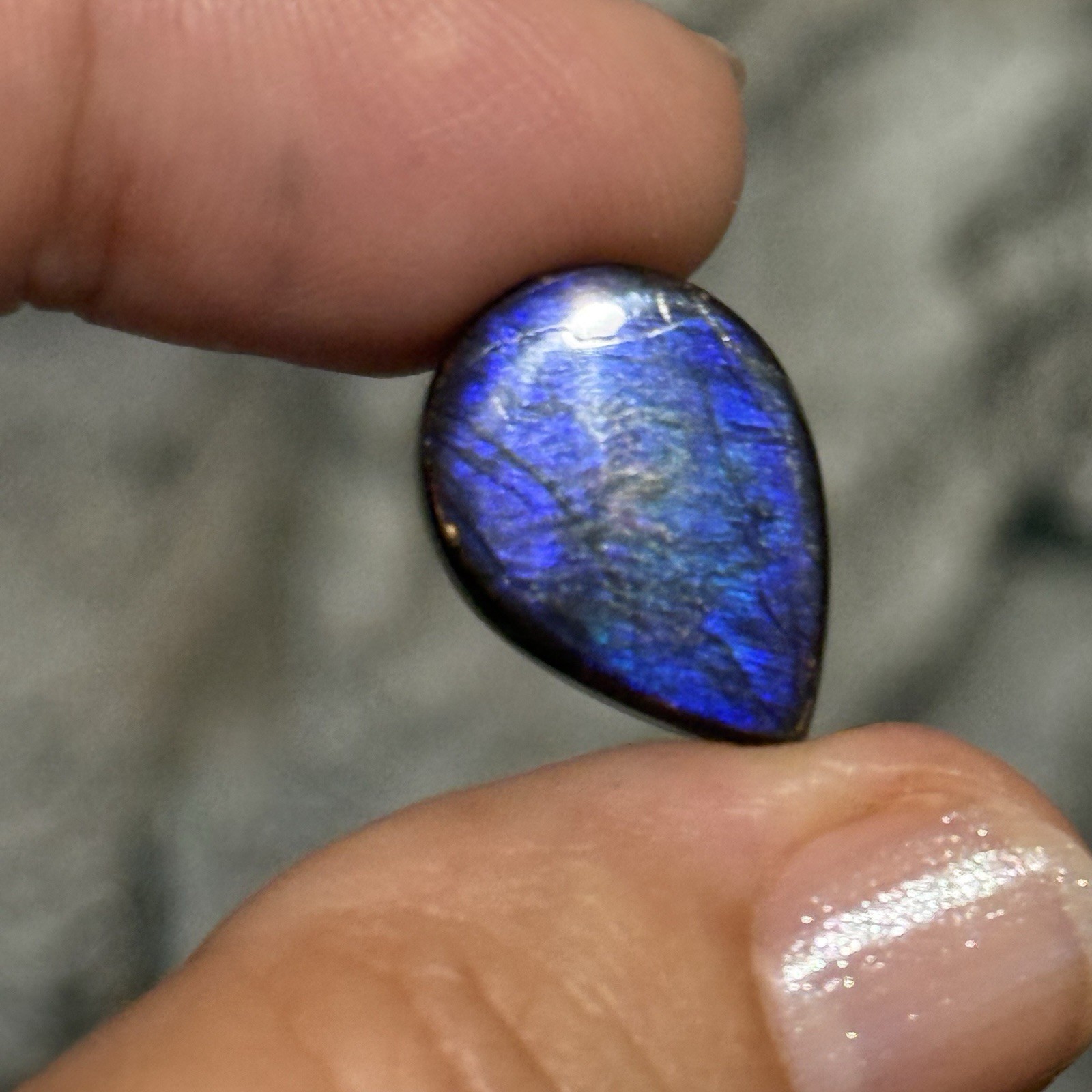10.6ct 18x13x5mm Genuine Purple Ammolite Teardrop Cabochon Gem