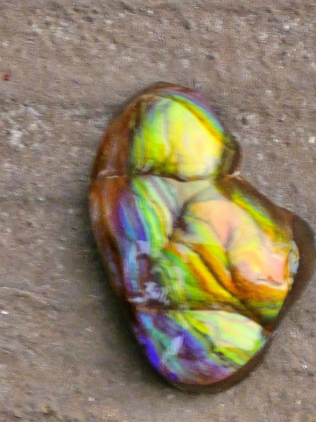 Dancing Rainbow Fire Agate Gem 6.7 Ct Original Hand Carved Natural Arizona Gem