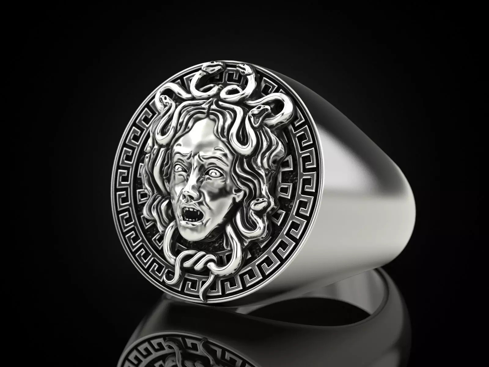 Oxidized Men’s Medusa Gorgon Gothic Punk 925 Sterling Silver Statement Rings