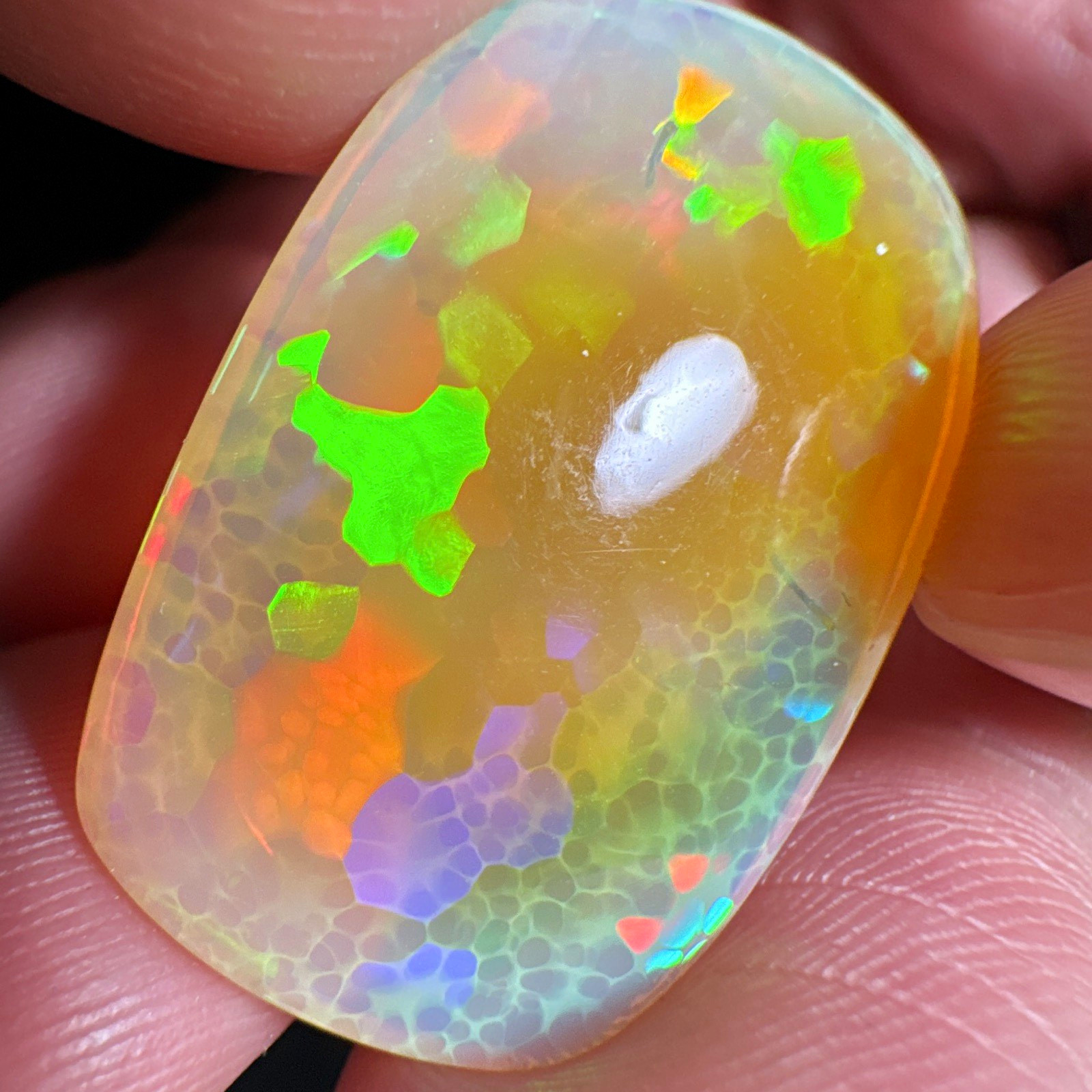 Ethiopian Honeycomb Opal Cabochon Loose Gemstone 18.9cts