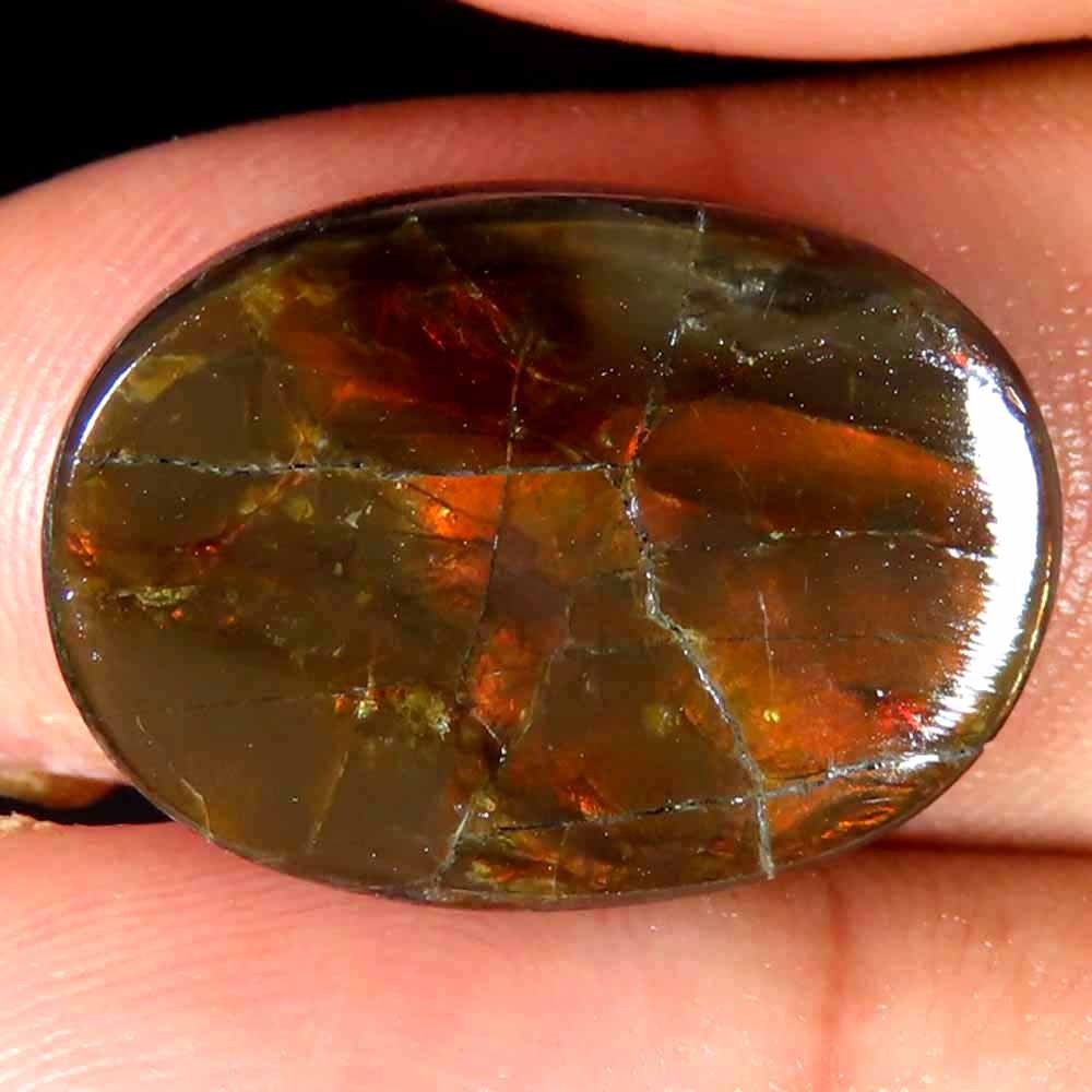 13.90Cts Charming 100% Natural Ammolite Canadian Cab 15x21x4mm Original Gemstone