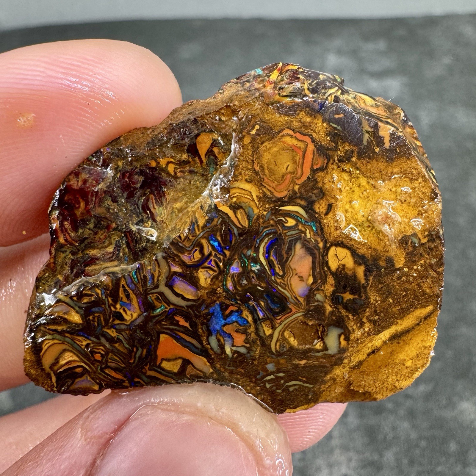 71ct Koroit Boulder Opal Slab Tribal Matrix Blues Greens Australian