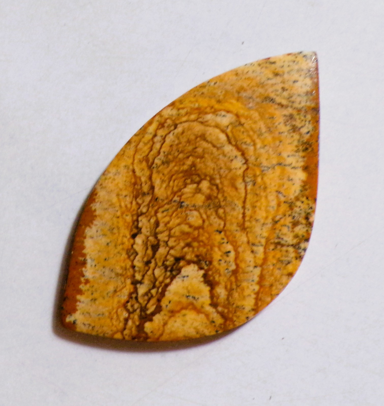 36.55 Cts Natural Picture Jasper Cabochon Loose Gemstone 47.4X27.2X4MM