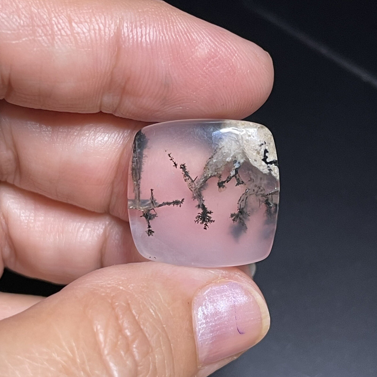 21.3ct 21x21x5.8mm Picture Like Dendrite Agate Smooth Cabochon Collector’s Stone