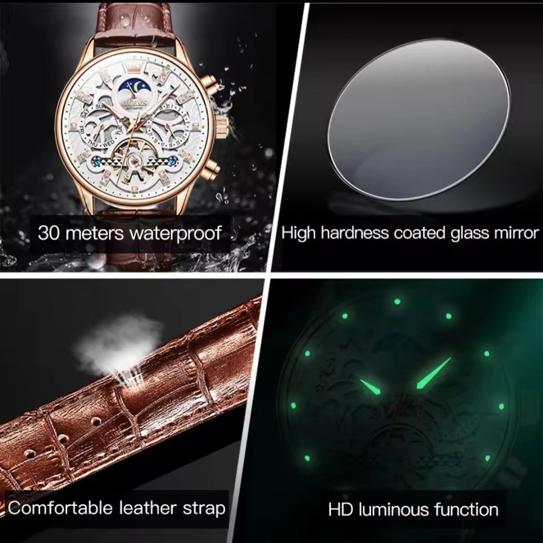 OLEVS Luxury Mechanical automatic Mens Watch With Leather Strap, Waterproof,