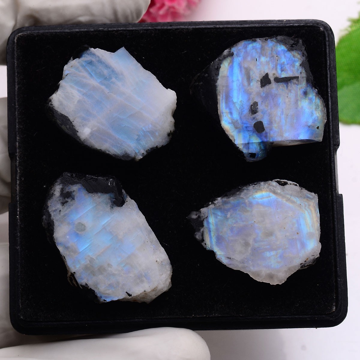 Blue Aurora~ Set Of 4 Pcs Natural Moonstone 25mm-29mm Rough Slabs Gemstones Lot