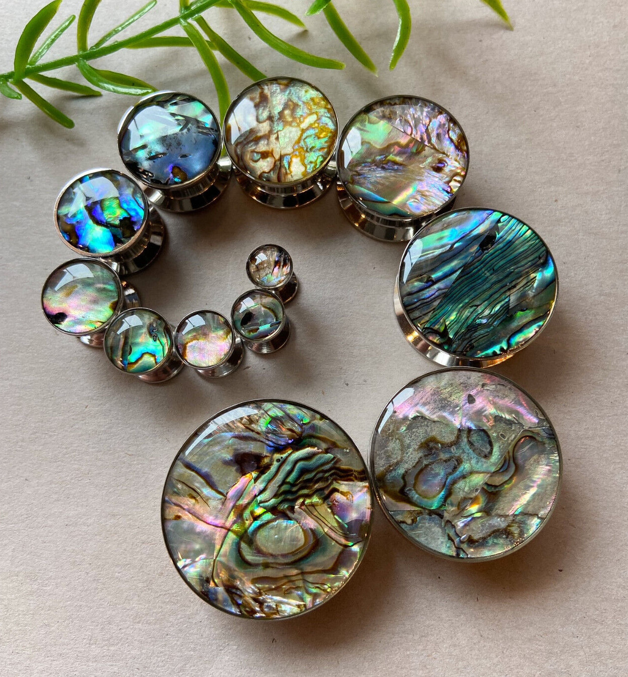 PAIR Abalone Inlay Steel Screw Fit Plugs Tunnels Earlets Gauges Body Jewelry