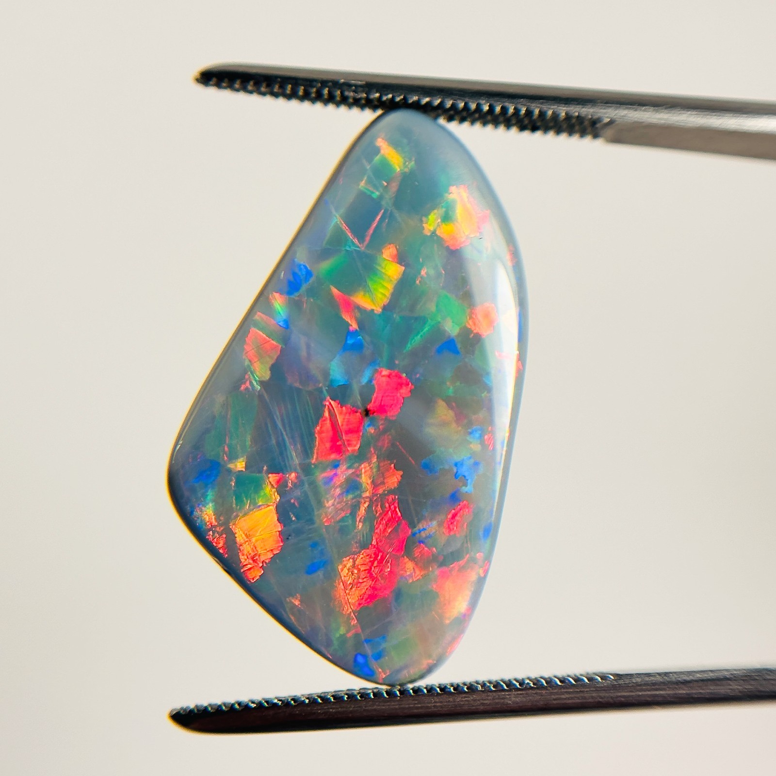 Semi Black Opal Red Multicolour Harlequin 25×14 Cabochon Freeform 10crt OPAL132