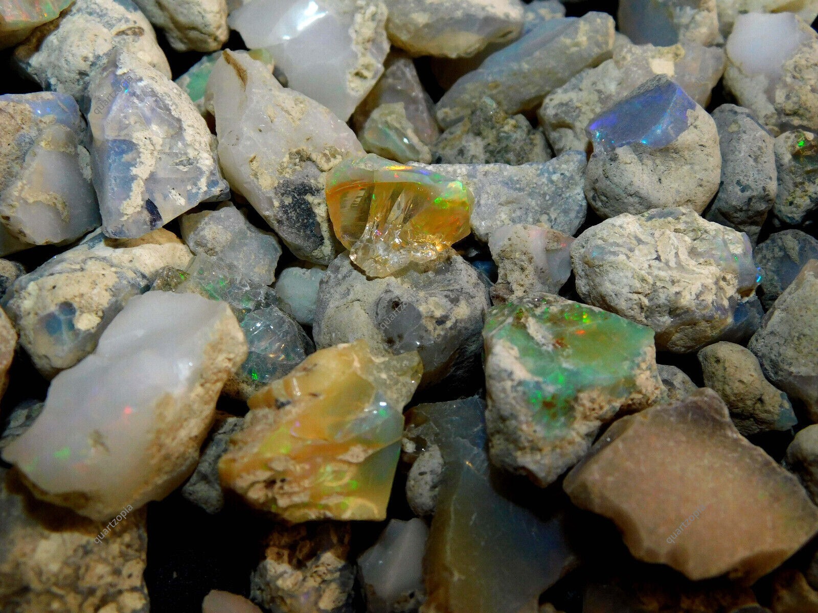 515 Cts Natural Ethopian Fire Opal Certified Rough Lot