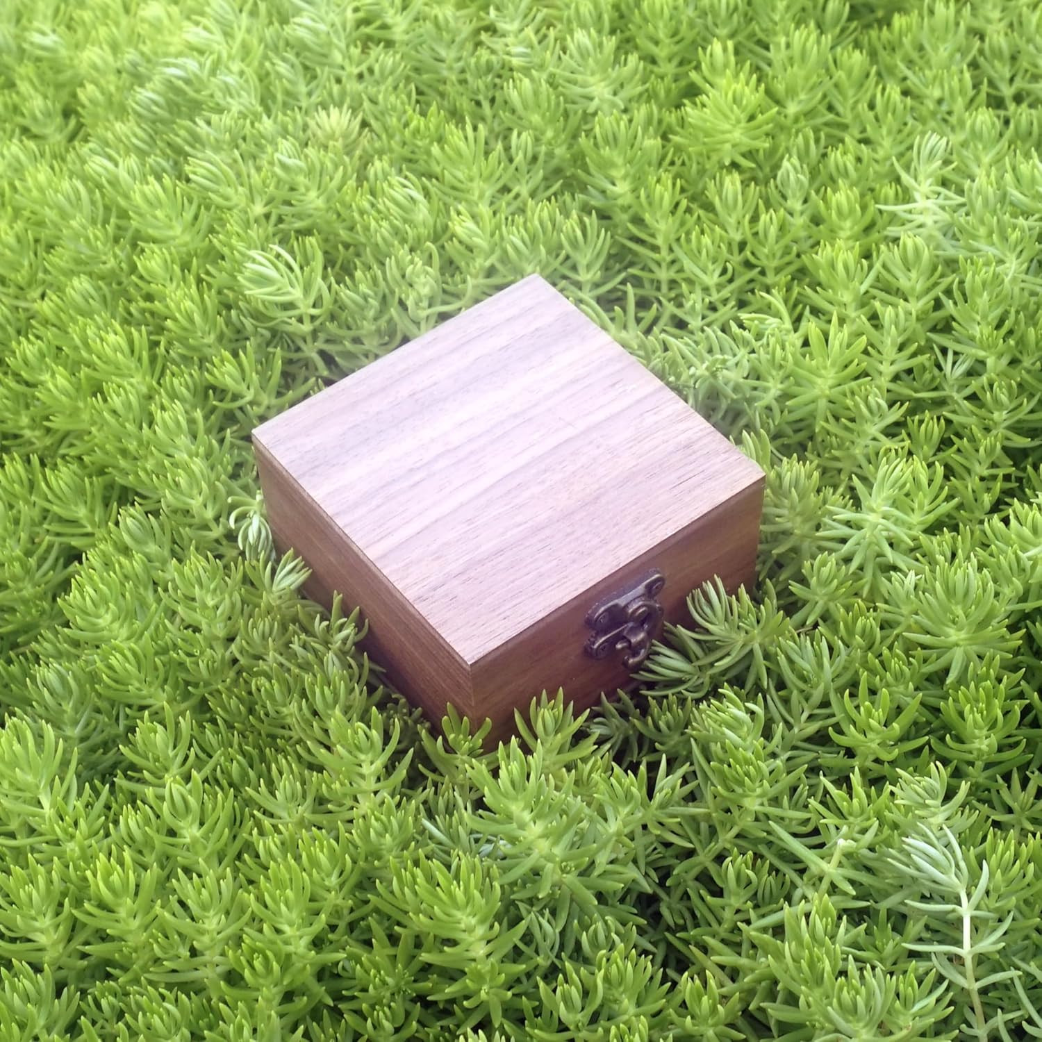 Walnut Wood Storage Box for Jewelry Watches Crafts Keepsake Gift