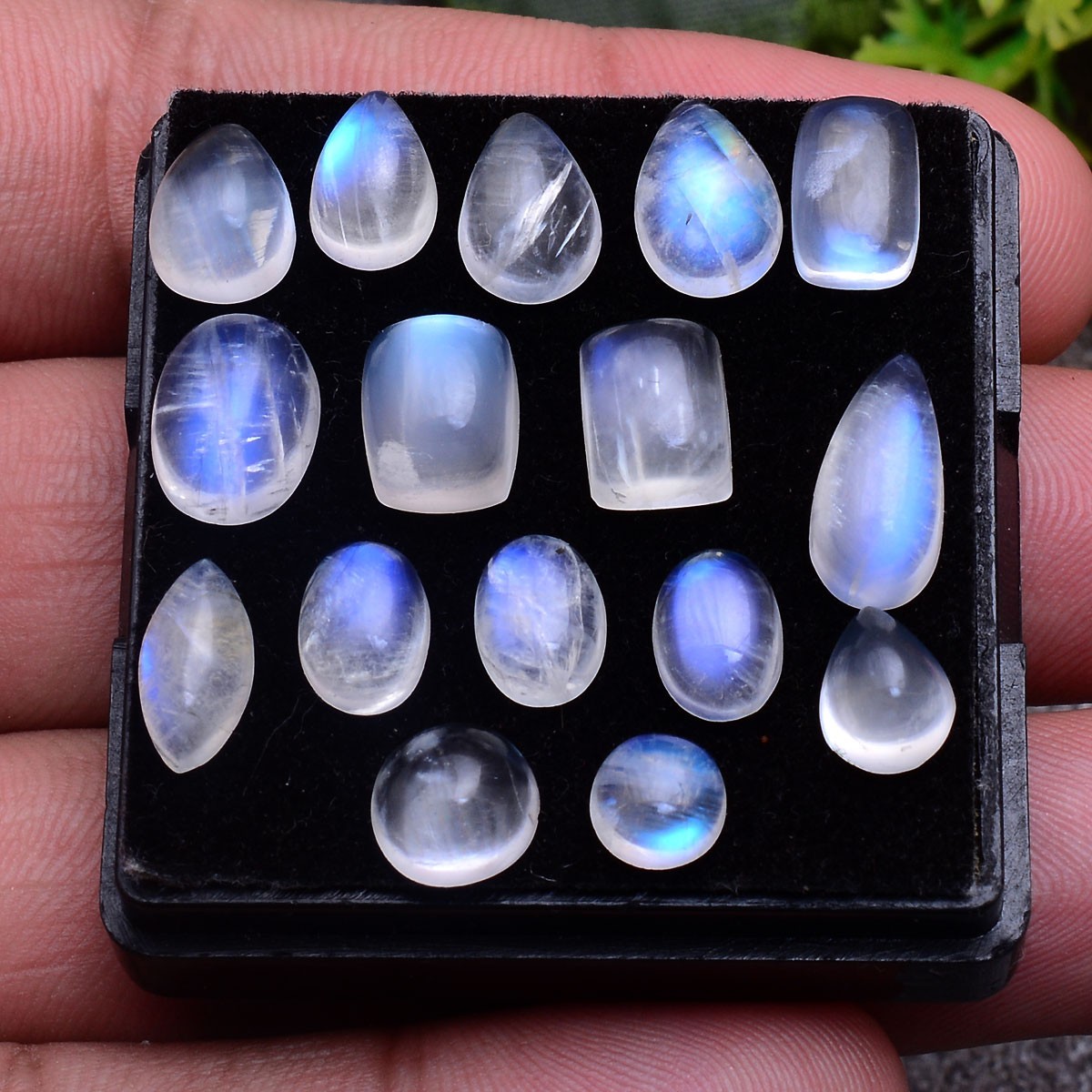 16 Pcs Natural Moonstone Blue Shine 6mm-12mm Smooth Mix Cabochon Loose Gemstones