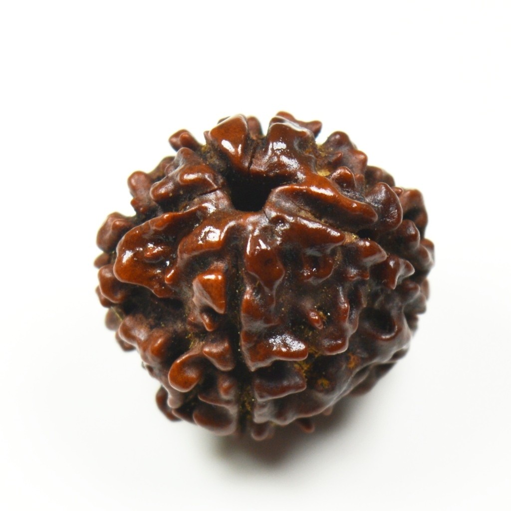 Rudraksha Pendant 8 Mukhi/EightFaced Round Red Thread Beads