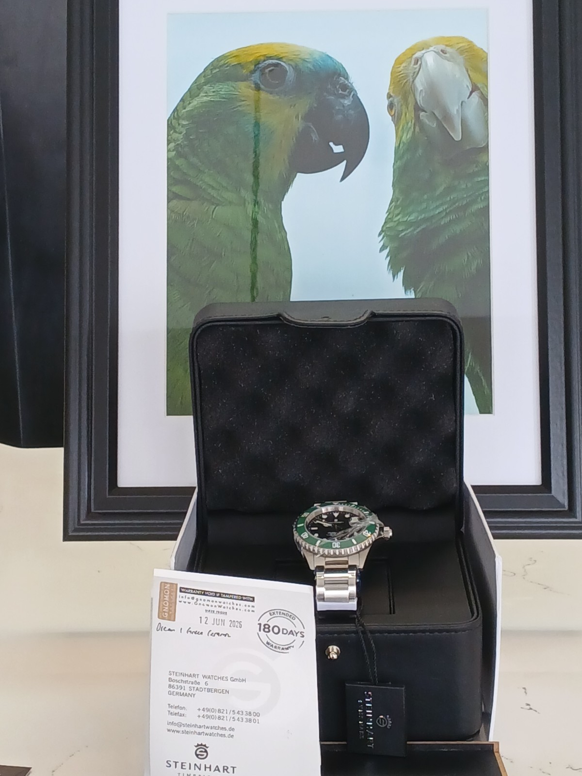 Steinhart Ocean 1 Green Ceramic 42mm Swiss Automatic Watch 103-1031