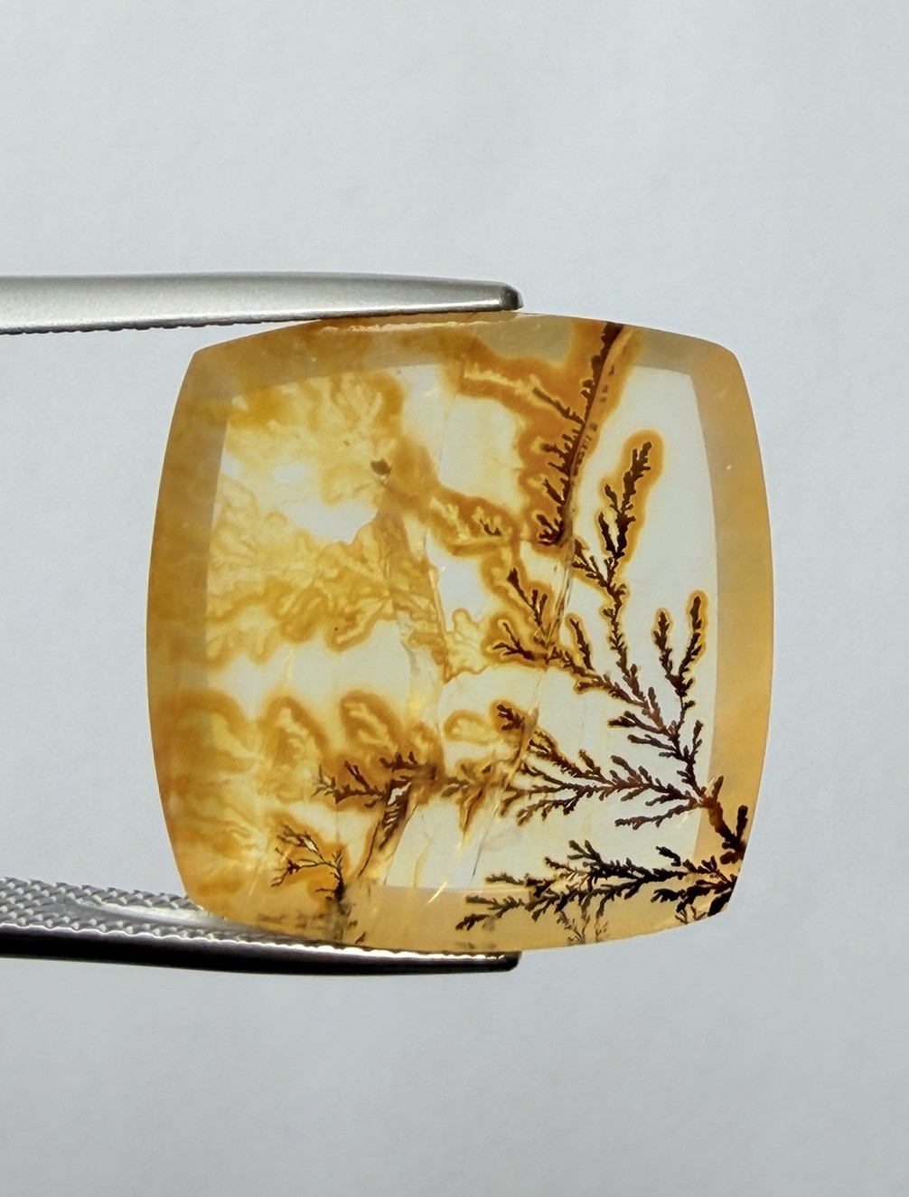 D0159- Dendritic quartz, Dendrite quartz, Scenic quartz, Landscape quartz,