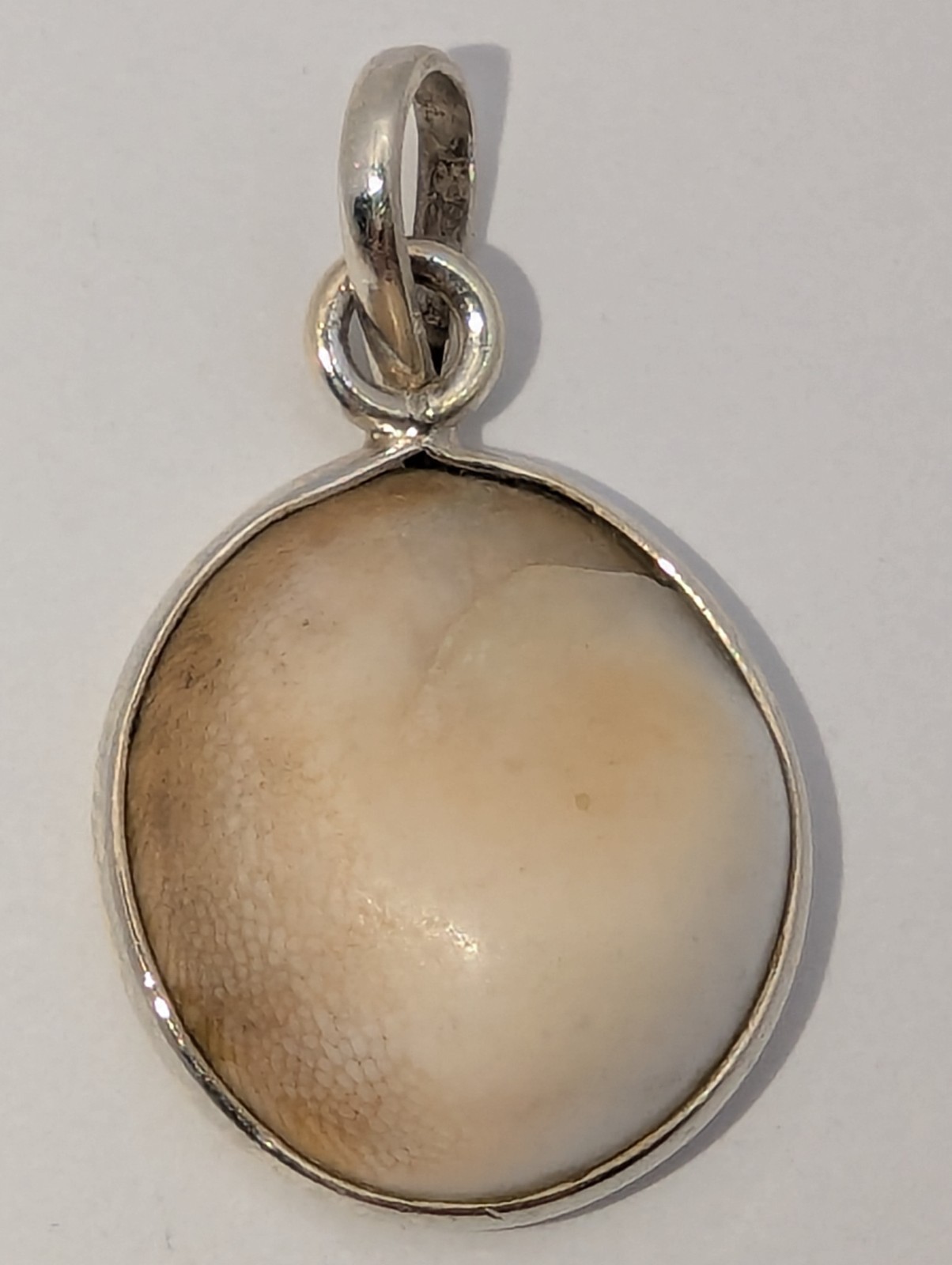 925 STERLING SILVER PENDANT With SHIVA EYE SHELL Natural Spiral Design 3.2 Grams