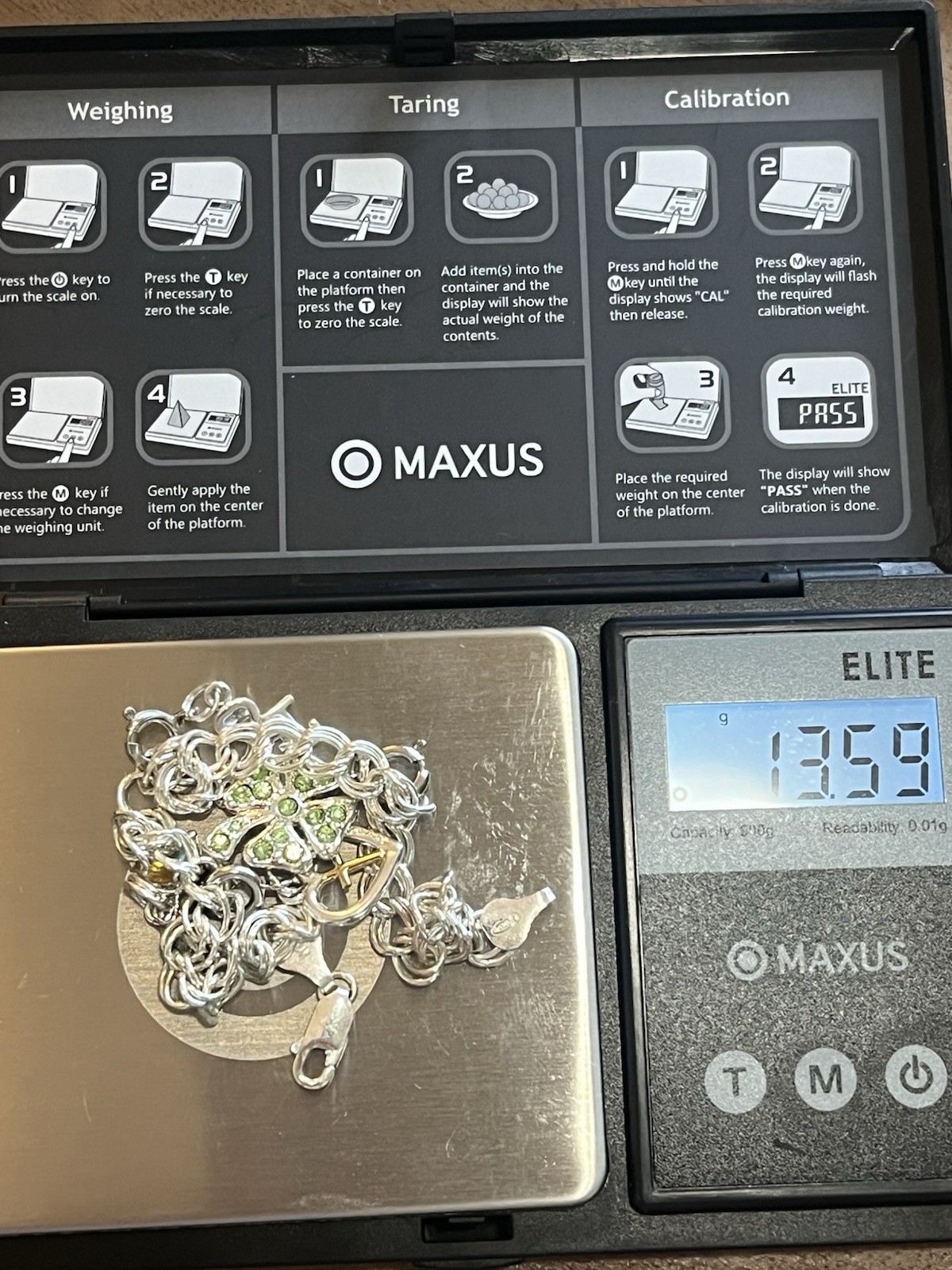 Sterling Silver PGDA Double Band Bracelet With Silver Charms 8”