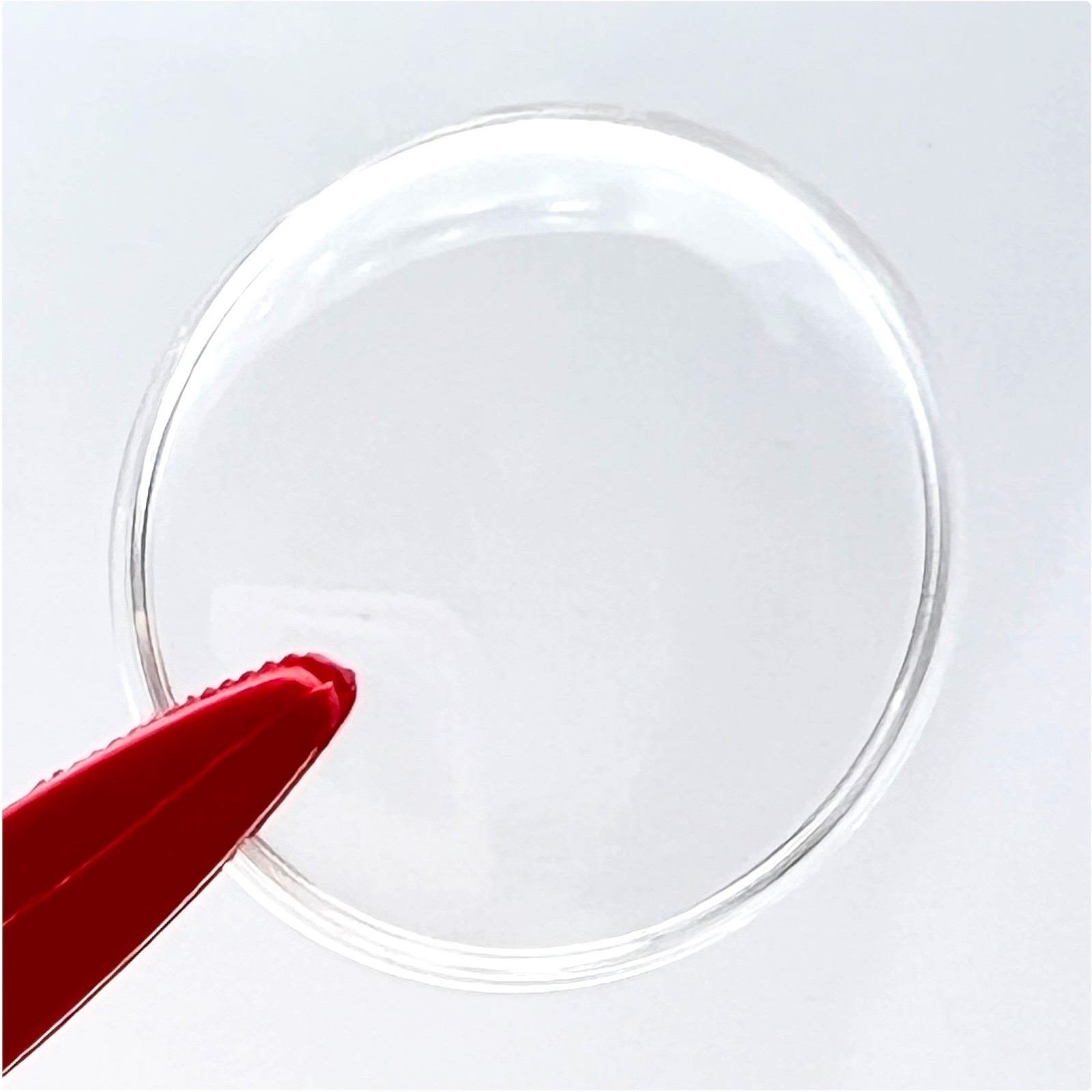 Round Step Watch Crystal SUC 19.0 mm to 34.6mm Waterproof NOS Read!