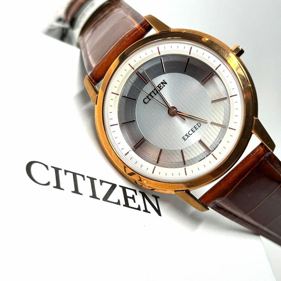 New Somewhat Defective Item CITIZEN EXCEED AR4002 17A
