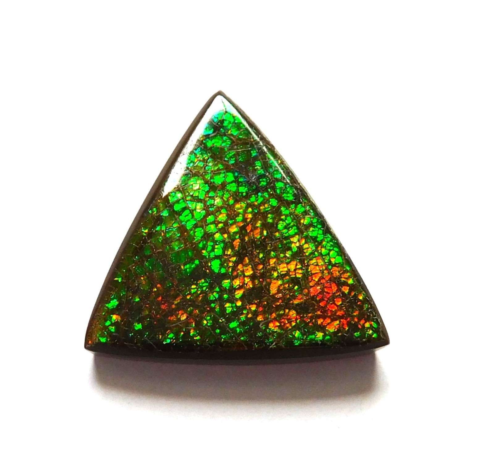 19.10 Ct Natural Canadian Ammolite Cabochon Loose Gemstone 22.6X22.4X4.2MM KJ120