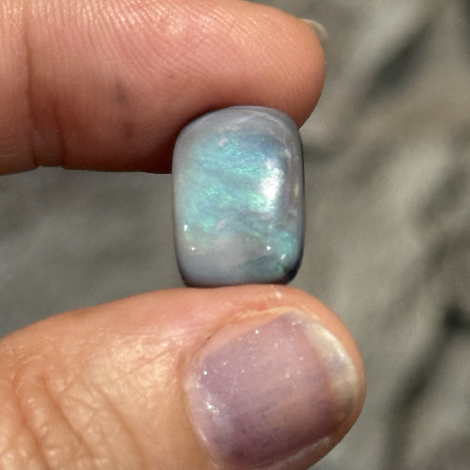 7.10ct 15.7×10.6×5.4mm Solid Picture Australian Black Opal Cabochon Loose Gem