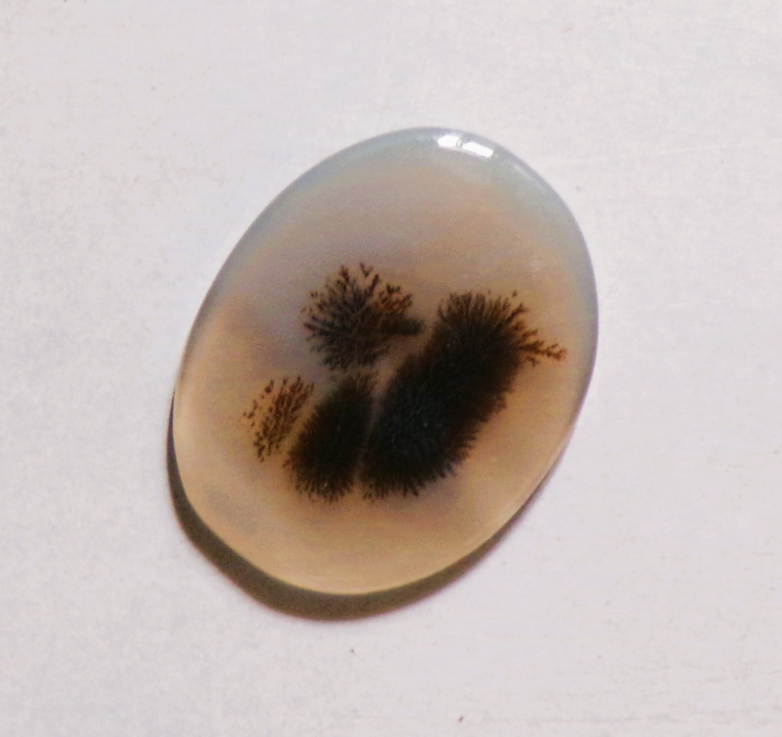 9.65 Cts Natural Shazar Dendritic Agate Cabochon Loose Gemstone 22X18X2.70MM 06