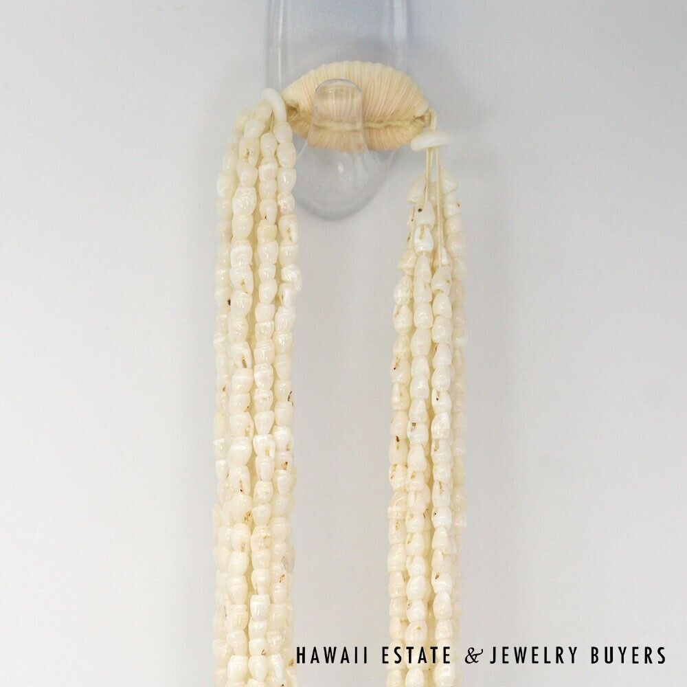 Ni’ihau Shell Wedding Lei 10 Strand Pololei Laiki Ke’oke’o Apu’upu’u 50 Inch