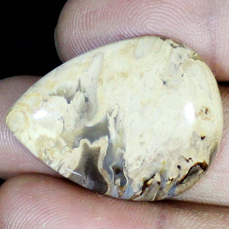 37.00 CT Natural Petrified Wood Agate PEAR Cabochon , Petrified stone 27x35x5 mm