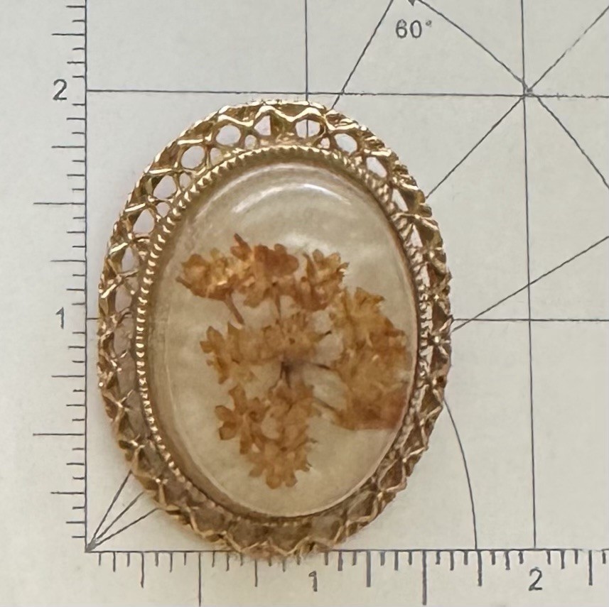 Unique vintage dry flower cameo brooch / Pendant