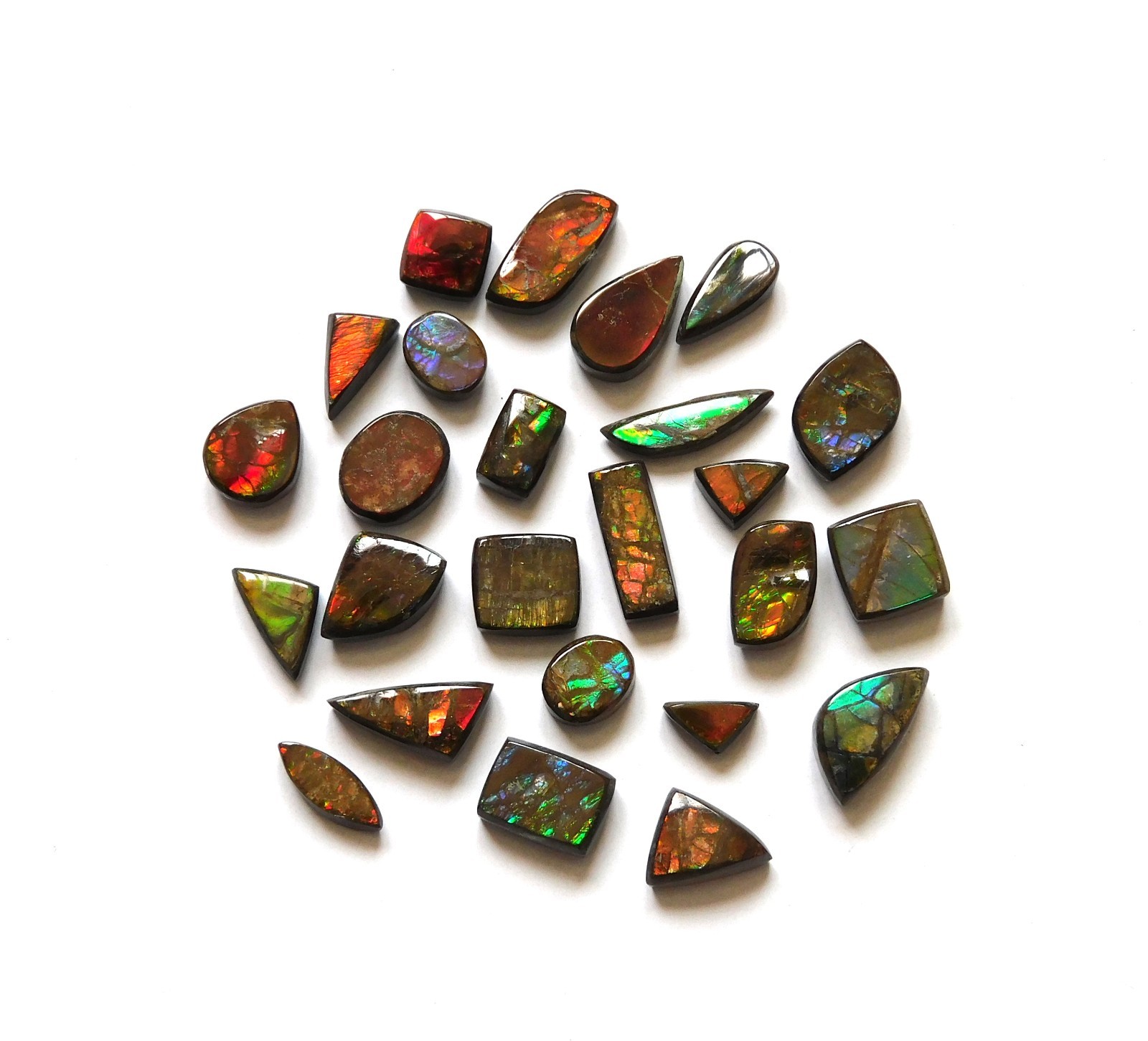 51.10 Cts Natural Ammolite 25 Pcs Lot Loose Cabochon Gemstone ZC17