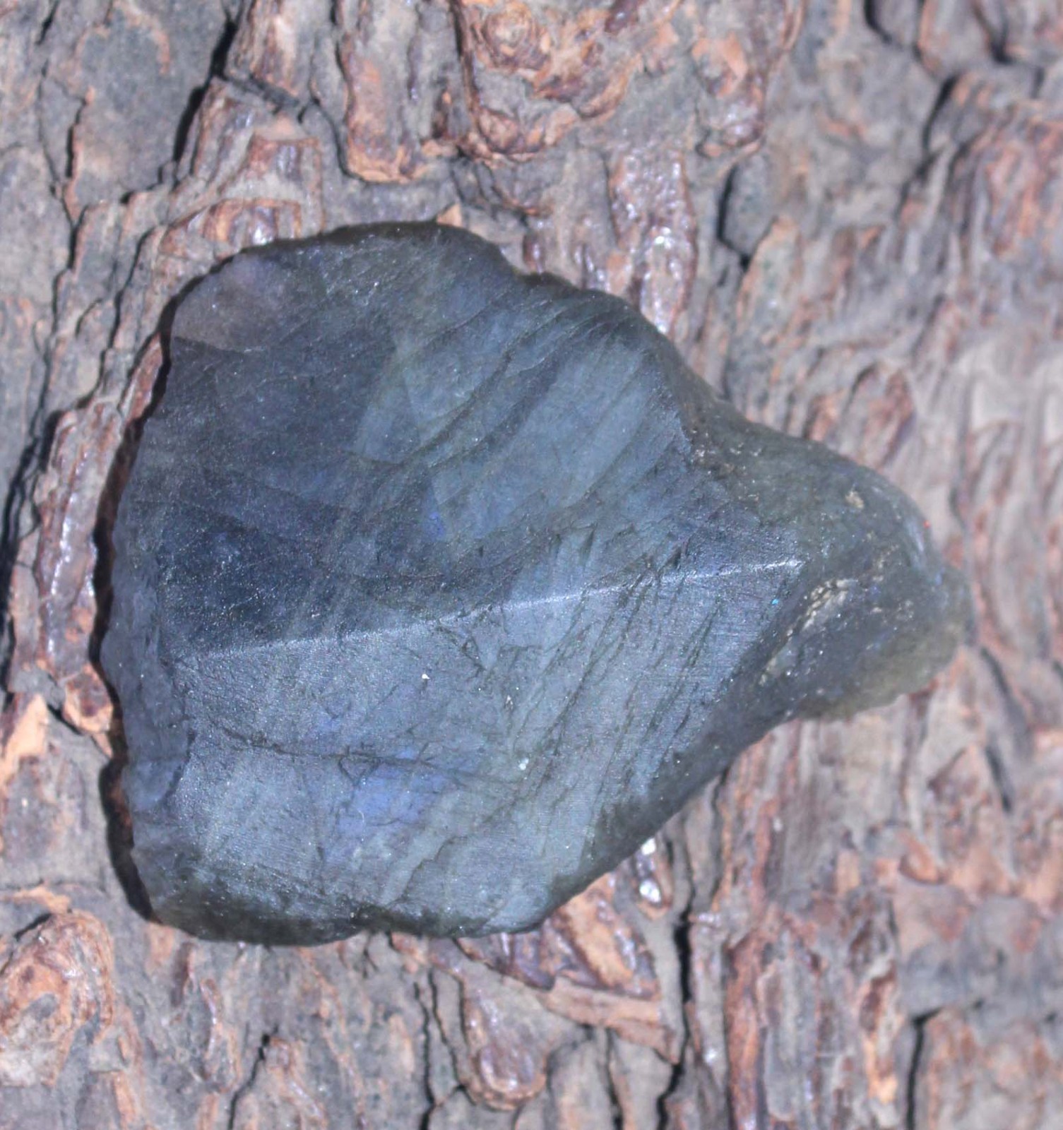 94.70 Ct Natural Labradorite 45 x 37 mm Gemstone Slab Rough Birthday Offers