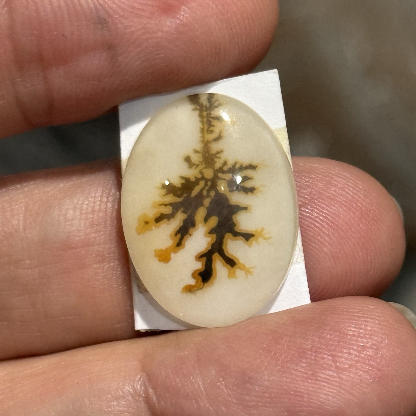 10.7ct 21×15.7×4.2mm Dendritic Agate Crystal Doublet Oval Cabochon Picture Stone