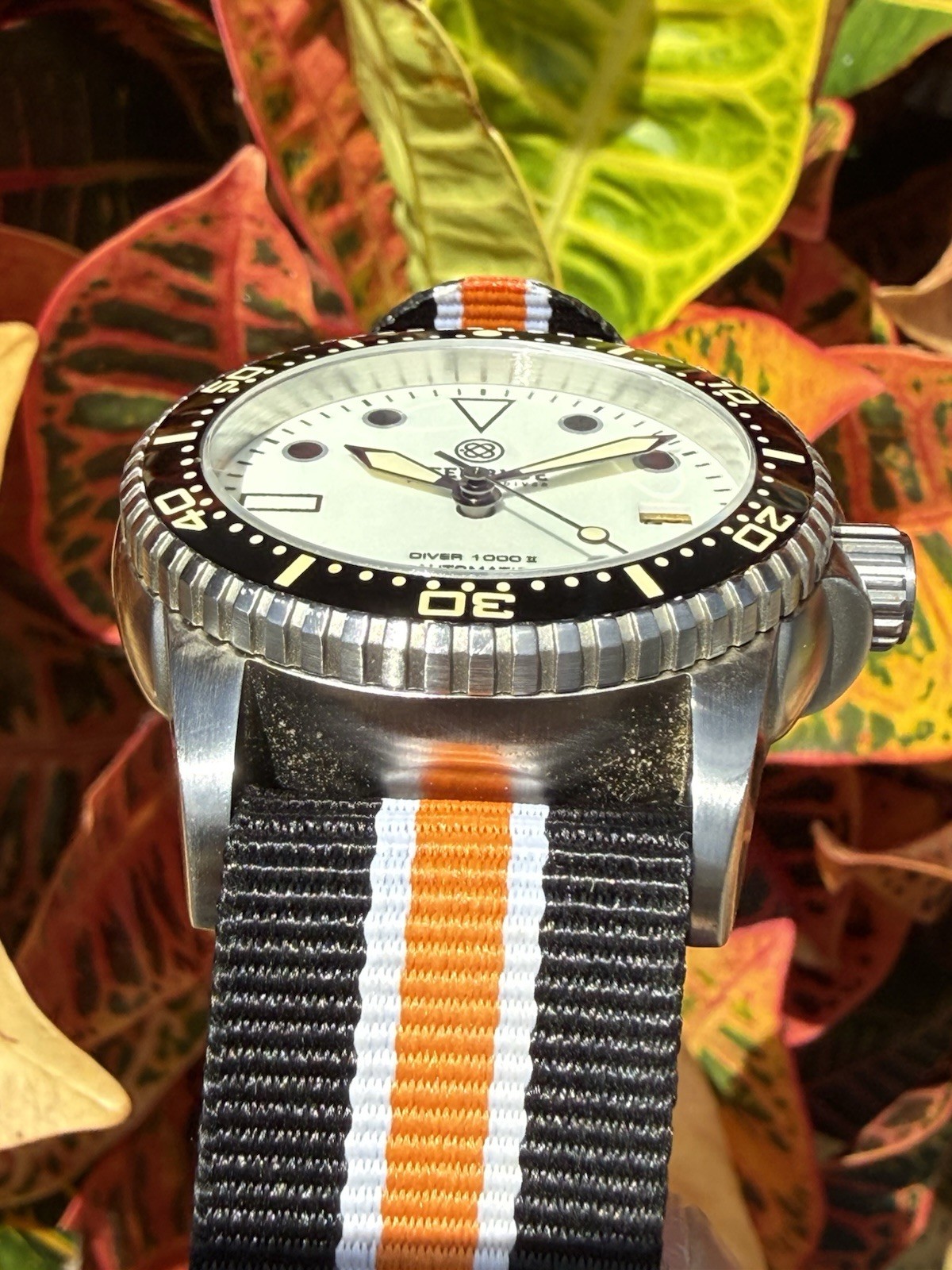 Deep Blue Precision Diver 1000 II 40mm White Full Lume Dial Nato Box Papers