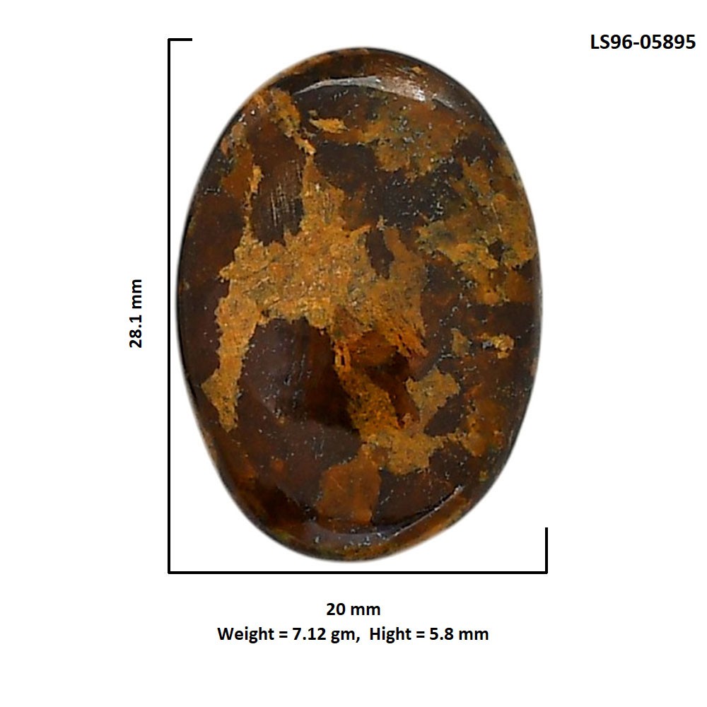 Natural Bronzite 20×28.1×5.8 mm Oval Shape Polished Gemstone LS96-05895