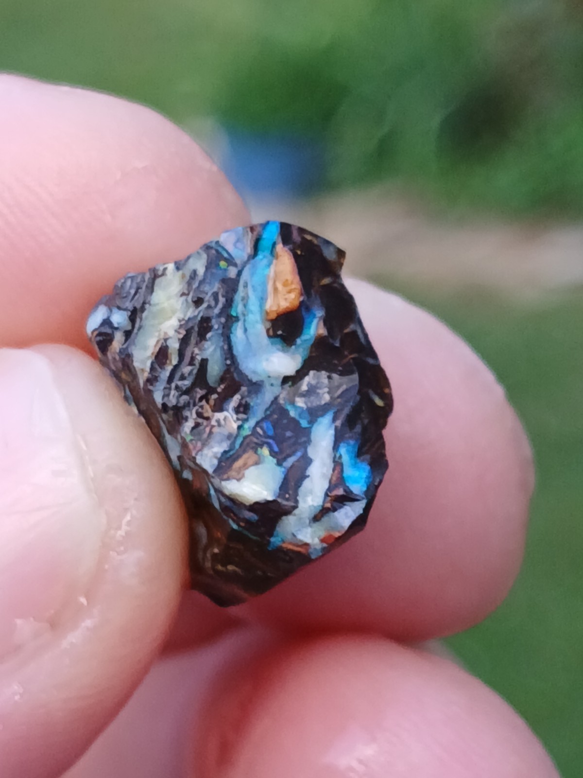Australia Boulder Opal Koroit R313 Specimen 11 Carat Blue Green