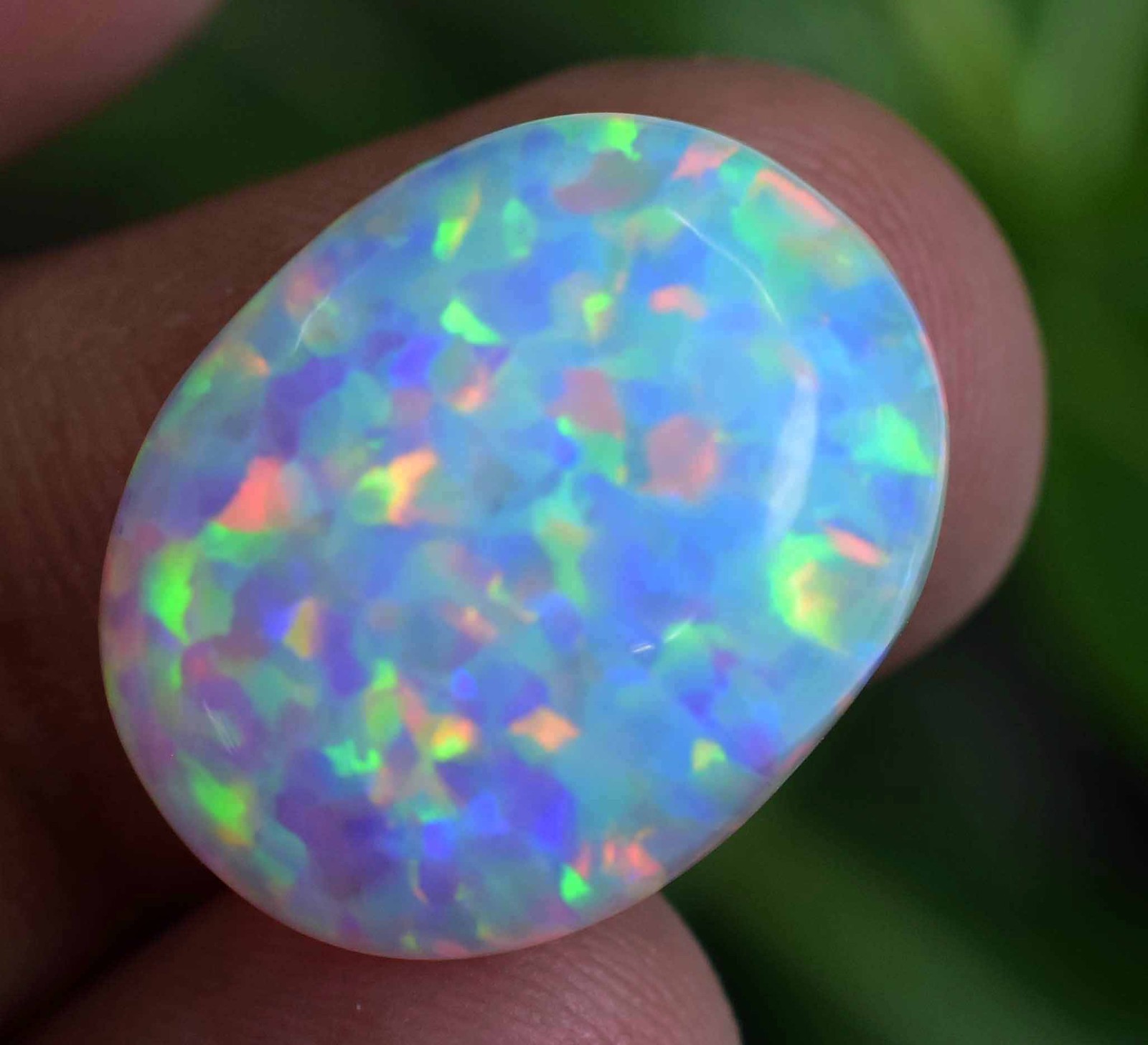 15.75 Ct Natural Ethiopian Fire Opal Certified Play of Color Untreated Gemstone