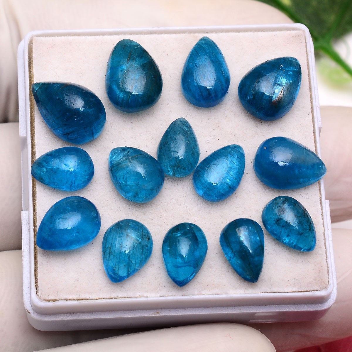 Set 14 Pcs Natural Apatite Untreated 8mm-12mm Pear Stunning Loose Gemstones Lot