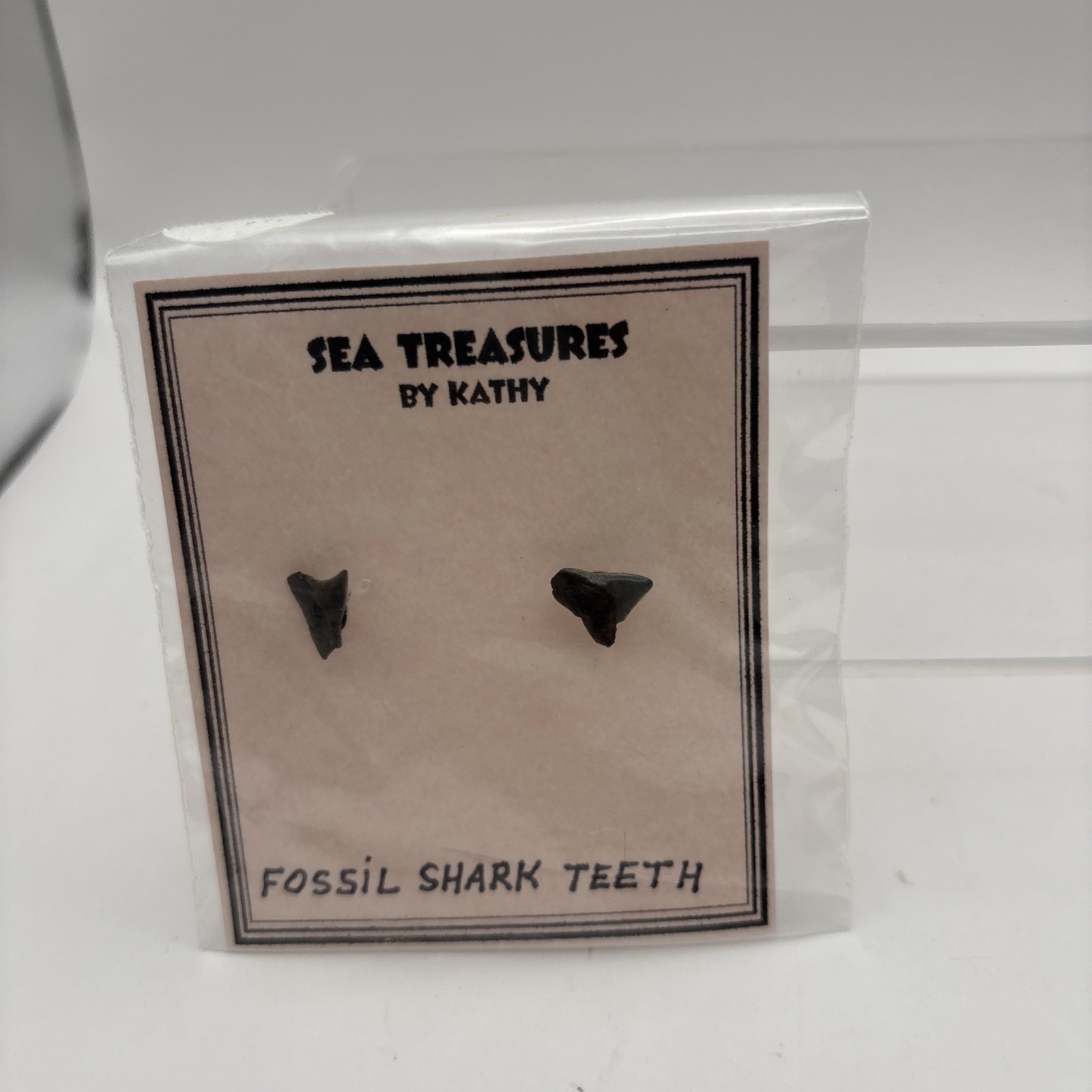 Vtg~Real Seashell Pierced Earrings~Black,2- Green, and Fossil Shark Teeth
