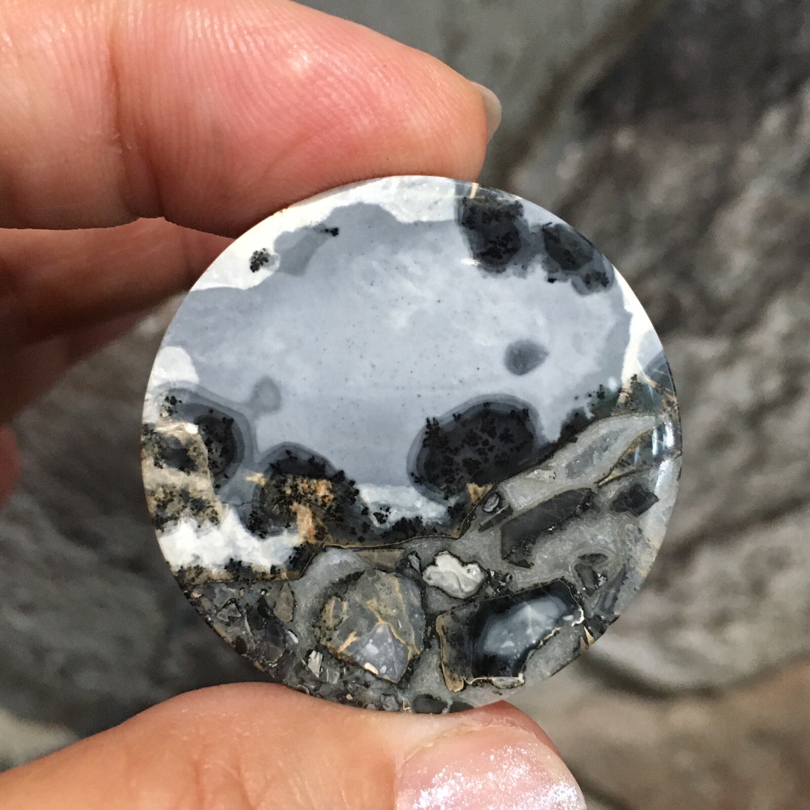 35×5.5mm Collectors’ Fine Maligano Jasper Round Cabochon Picture Stone