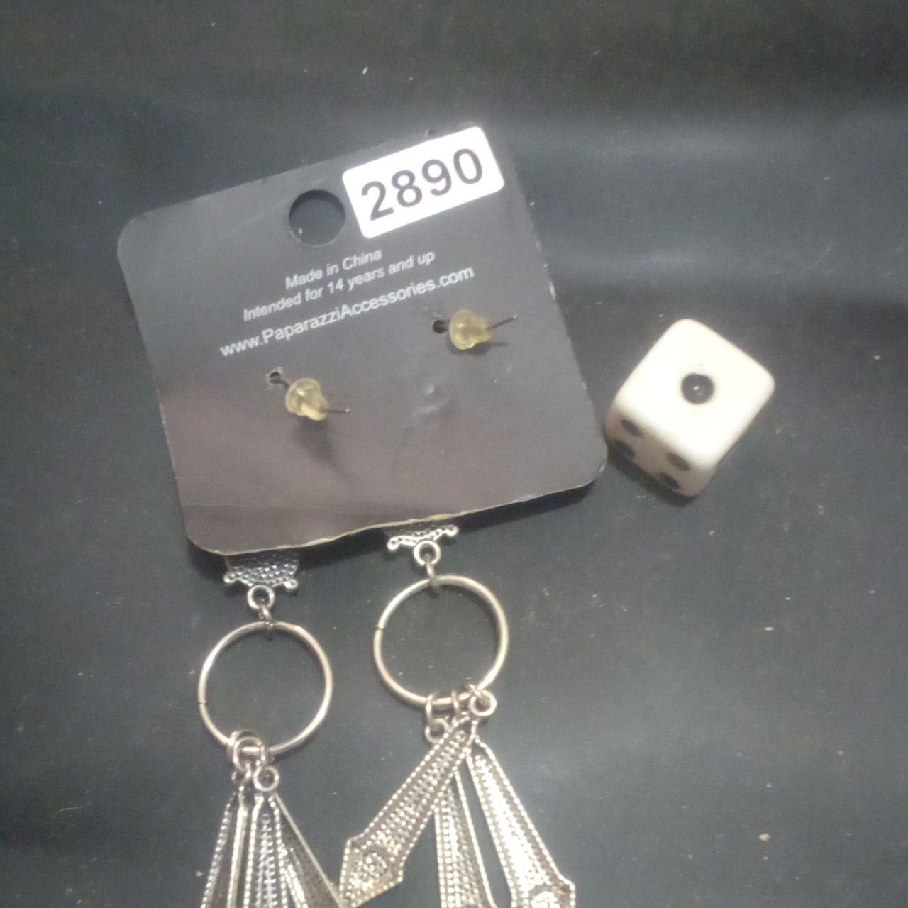 Paparazzi Silver Tone Metal Dangle Drop Hook Earrings No Stone Lobe