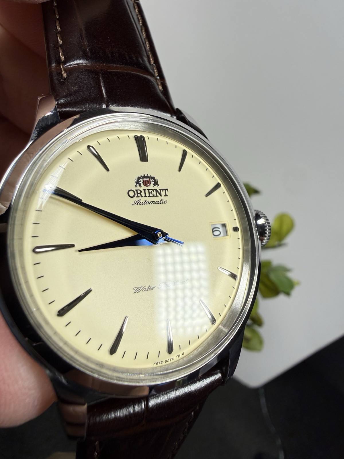 💥NEW💥 Orient Bambino V7 Champagne Dial Auto RA-AC0M04Y30B 38mm FREE SHIPPING