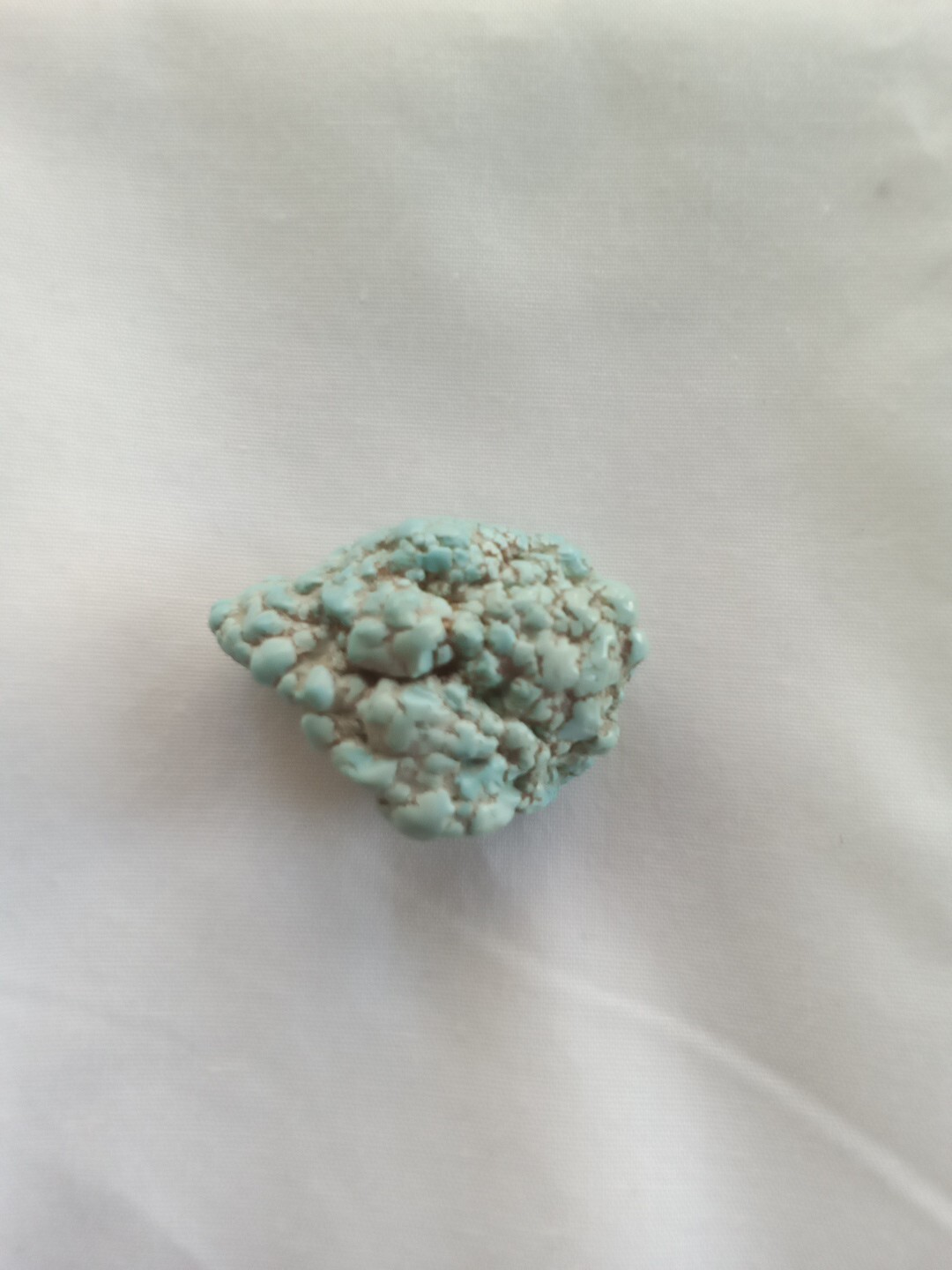 Fox Foam Turquoise