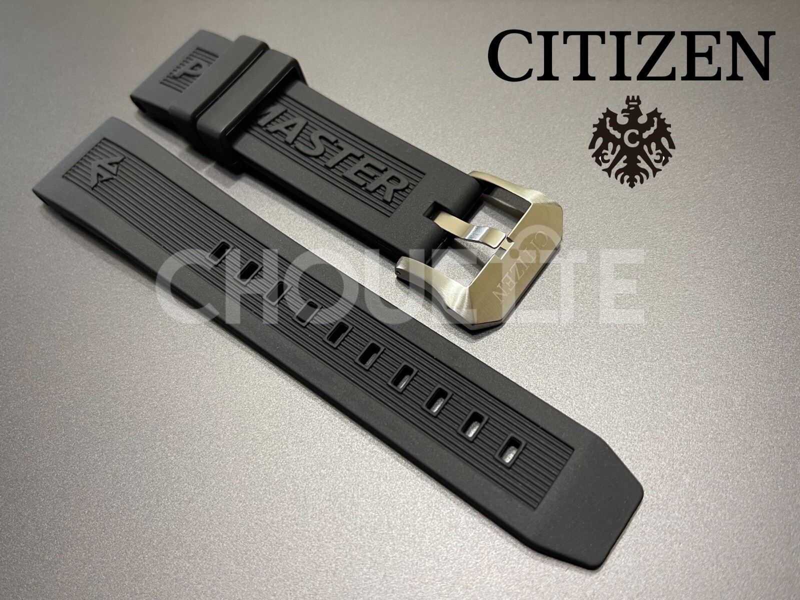 Citizen 22mm Promaster CC3060-10E, F150-S113504 BN4044-23E Watch Strap with PINS