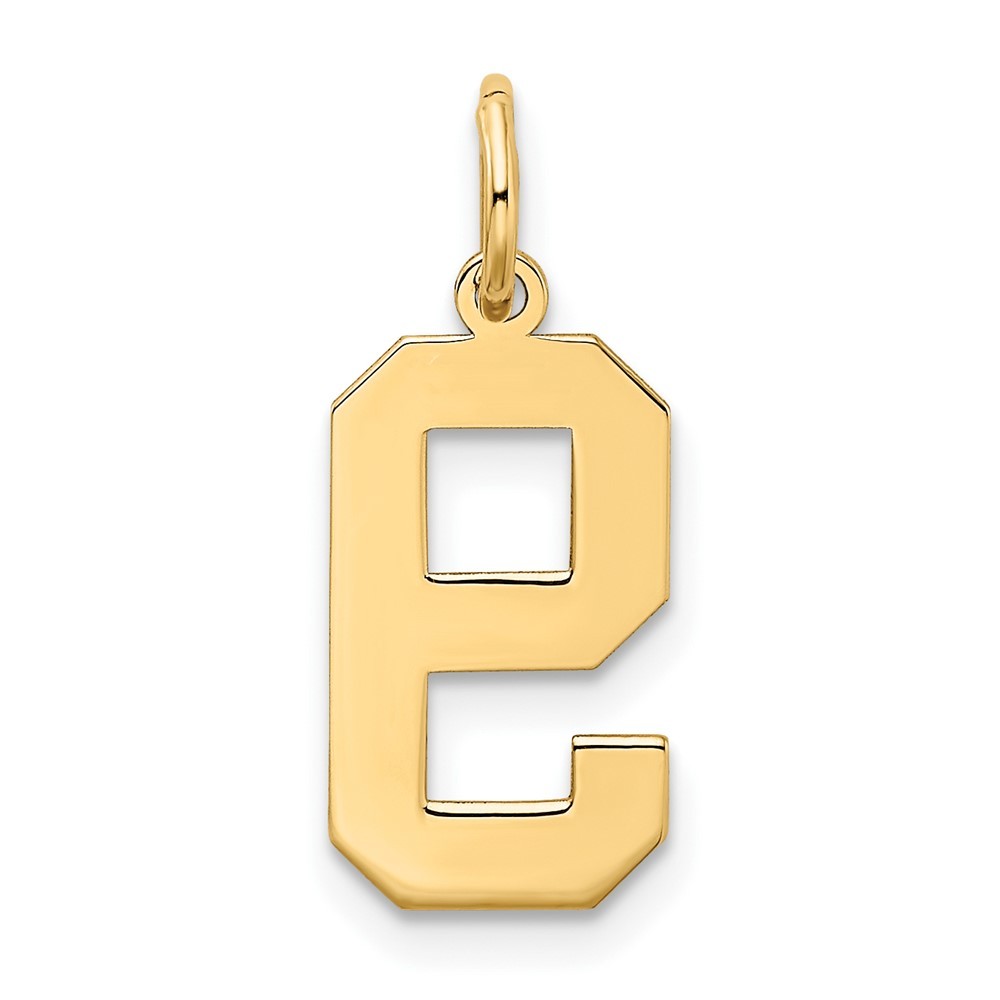 10k Yellow Gold Medium Satin Number 9 Charm Pendant 0.27g