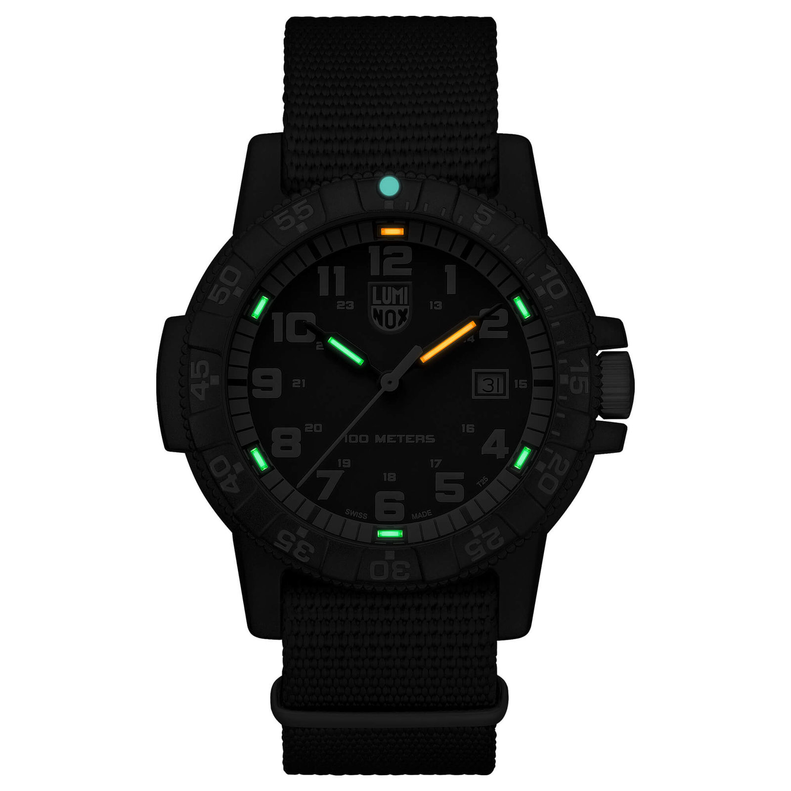 Luminox Men’s Watch Sea Turtle Giant 0320 Series Quartz Black Nylon Strap 0333