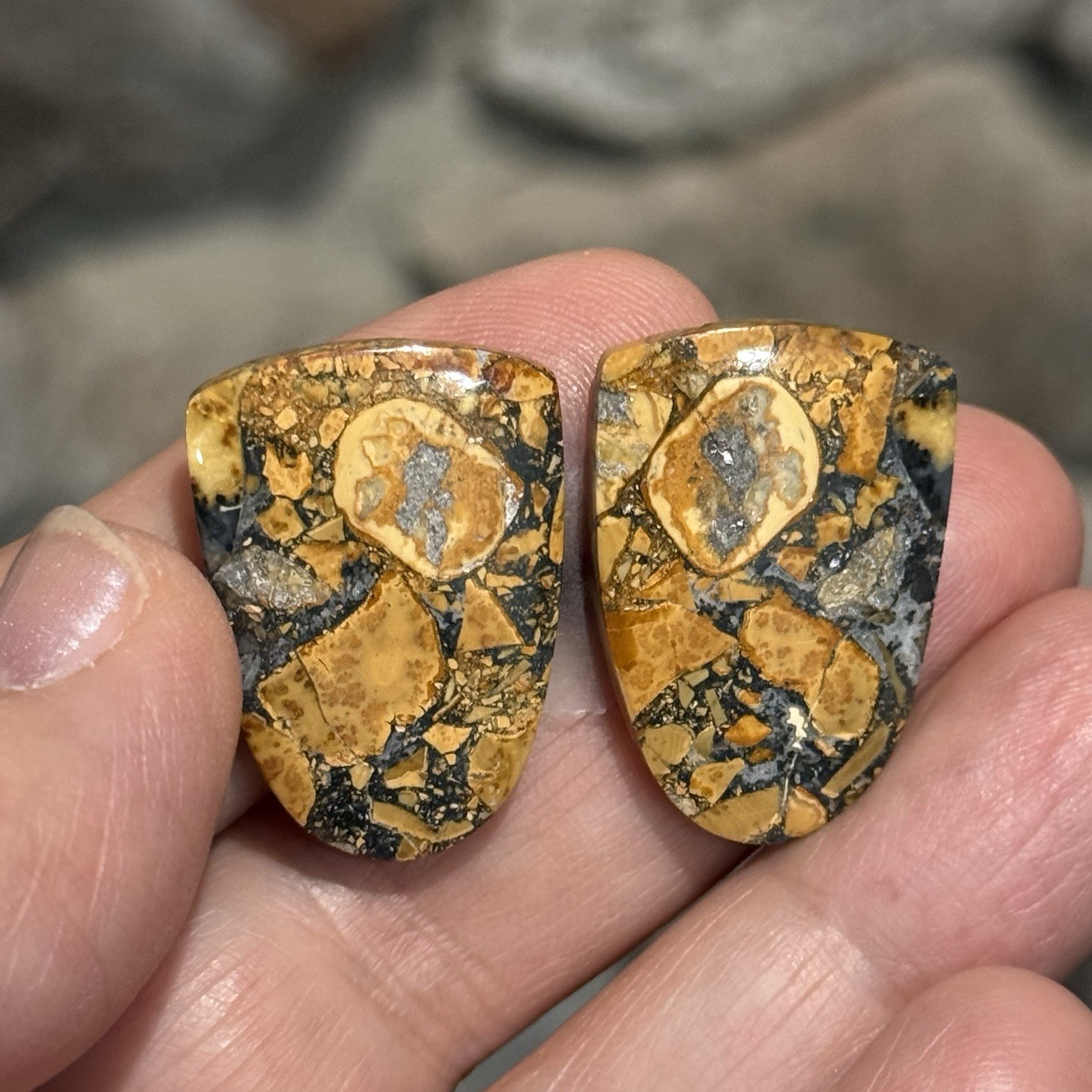 41.6ct 26.5×18.5x4mm Pair Fine Colorful Scenic Picture Maligano Jasper Cabochons
