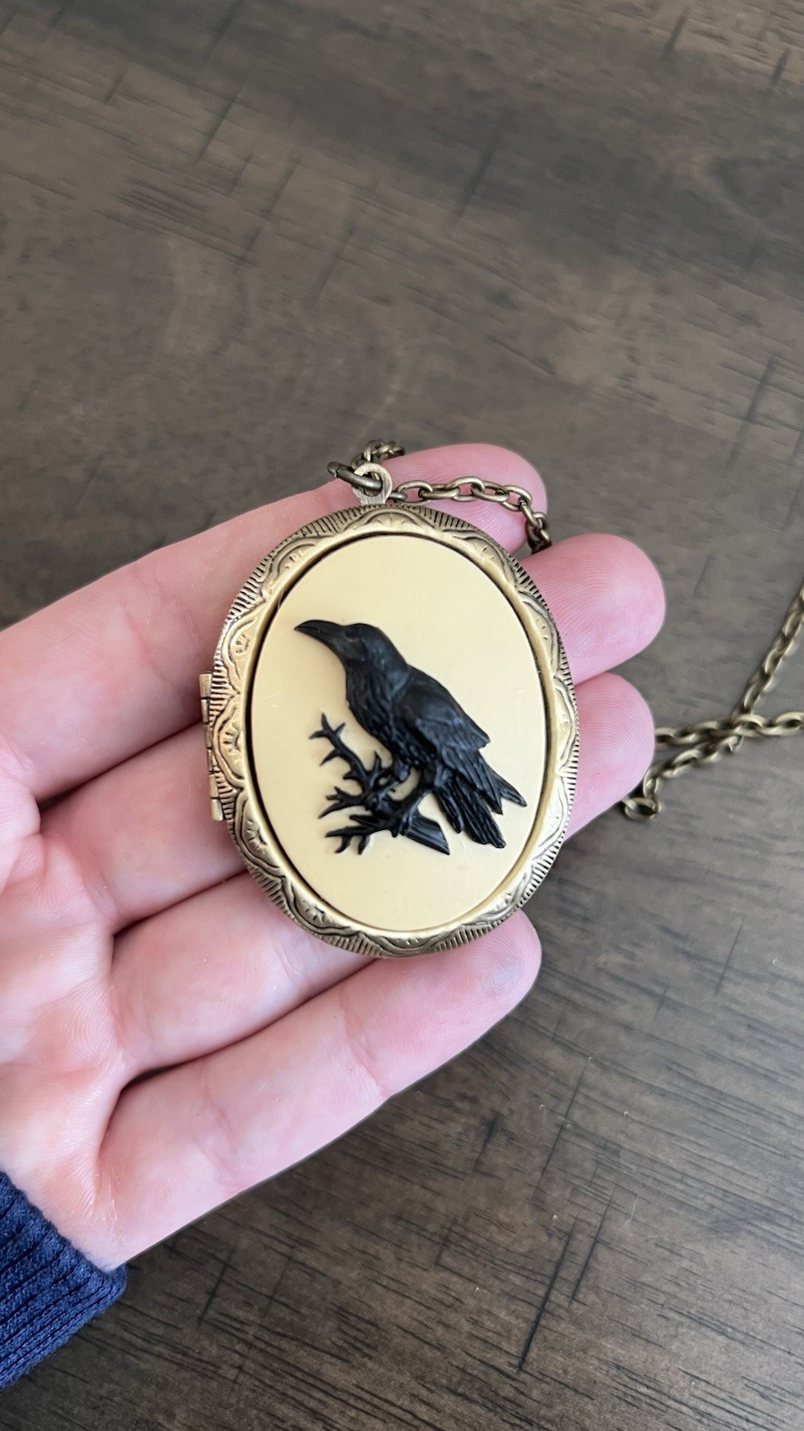 Gothic Raven Cameo Locket Necklace