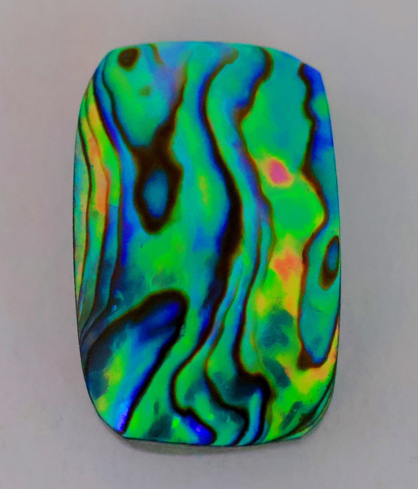 32 Ct 7X18X26 mm Natural Multi Fire Abalone Shell Fancy Cabochon Gemstone KQ-588