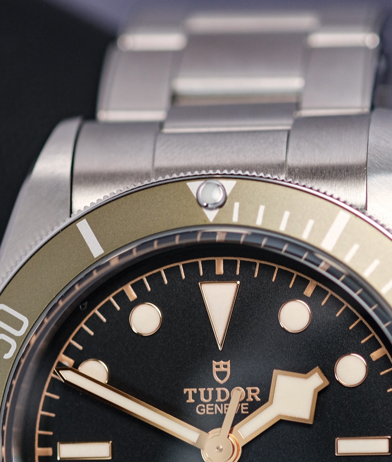 Tudor Black Bay Harrods 79230G 2021 Superb Full Set Harrods Edition