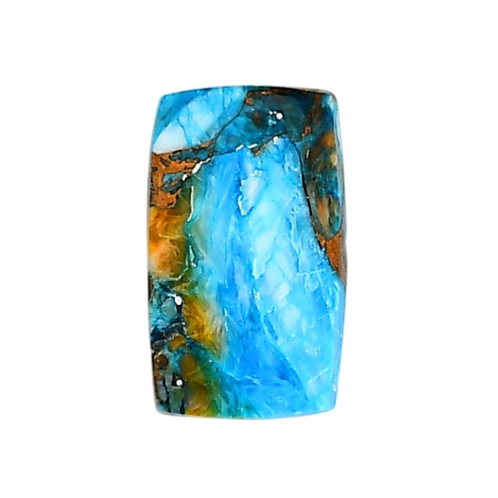 Spiny Oyster Turquoise 12.3×20.5×4 mm Cushion Shape Polished Gemstone LS87-06285