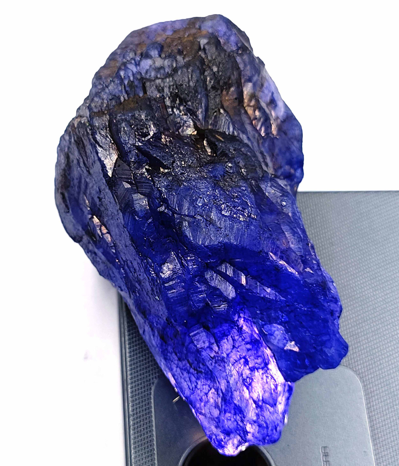 720 Ct Natural Blue Sapphire EGL Certified Uncut Rough Chunk Loose Gemstone 25S